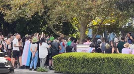 Trans Day of Visibility Rally 2024 In Sydney, Australia