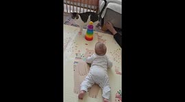 Precious moment of a cute cat helping a baby in the playtime