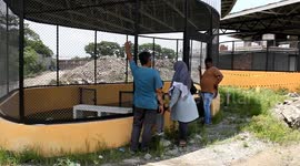 The largest crocodile farm in Indonesia in the Medan area, Sumatra, has been operating since 1959