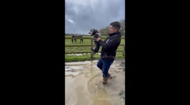 Sausage Dog Swims Laps While Being Carried Over Mud