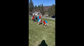 Kids Hunt For Easter Eggs In Inflatable Ball Suits