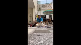 Dog Kicks Man in the Face While Playing