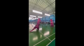Fun-loving Chinese “dinosaurs