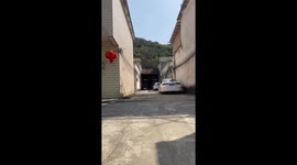 Two-Legged Dog Dash Happily Toward Owner in China