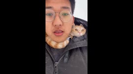Man Wears His Cat On Neck for Snowy Stroll