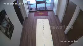 Confused deer smashes through bank window