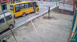 Labrador escorts boy to school bus in Shangqiu City, China