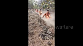 Firefighters in slide down slopes after forest fire extinguished