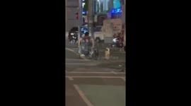 Disabled owner's dogs show remarkable loyalty in street stroll