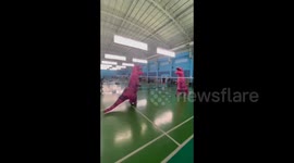 Fun-loving Chinese “Dinosaurs