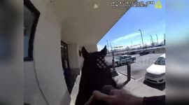Police Chase Down Shoplifter on Horseback in Albuquerque, NM, USA