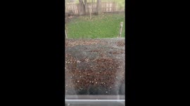 Upper Arlington, Ohio hit by pea-nickel sized hailstorm