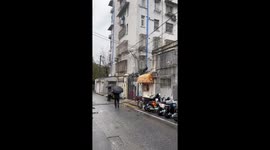 Citizens in Nanjing Encounter Escaped Peacock Strolling on Roof By Roadside in China