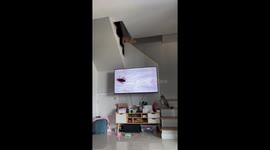 Cat makes impressive slide down stair bannister