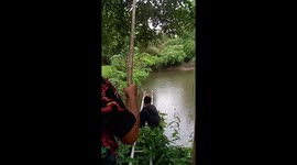Worker almost falls into pond when he tried to catch durian fruit