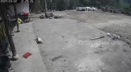 Eagle swoops down and catches hen in yard in China
