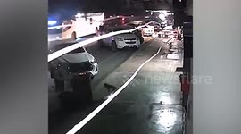 Barbarous monkeys bite boy, 13, when he tries to scare them away from restaurant