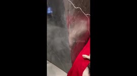 Clever corgi: Samuel's sneaky sick day simulation