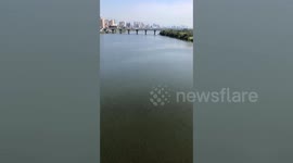 Thousands of fish emerge on surface of river in Taiwan