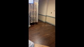 Siblings' first meeting with adorable baby brother is enormously heartwarming!