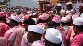 Pink cows and devotees dangling from hooks in this Indian festival