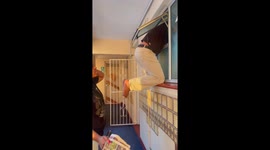 Prank and plummet: Whimsical twist on getting back inside