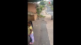 Monkey Business goes BANANAS: Excited girl's photo-op quest backfires!