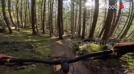 'Superman to Shrubs!' - Action-packed mountain-bike ride becomes memorable for the wrong reason