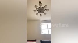 Taiwan earthquake shakes ceiling fan
