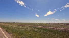 A corn field in Floresville, Texas where farmers are reporting that 57% of the state's annual corn crop has been planted so far this year.