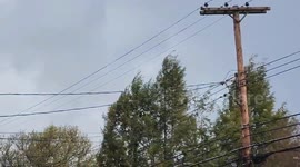 US: Tornado-Warned Storms Sweep Through West Virginia, Leaving Thousands Without Power 2