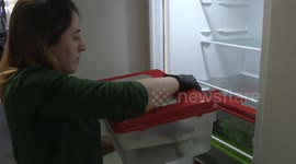 European pond turtles return home after winter holiday at oldest zoo