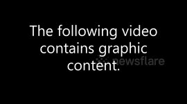 Video shows heavy winds and downed trees after severe storm hits Charleston, West Virginia