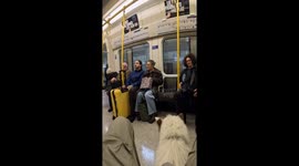 Emotional support dog brightens commuters' day on London train