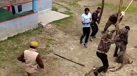 Two wildlife department officials among four injured in leopard attack in northern India, rescued