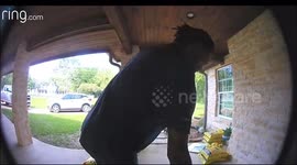 Package Carrier Startled By Dogs Jumps on Van