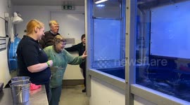 Otter super-fan treated to her dream day out to meet the UK's only sea otters