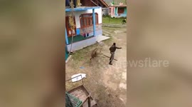Longer Version: Two wildlife department officials among four injured in leopard attack in northern India, rescued