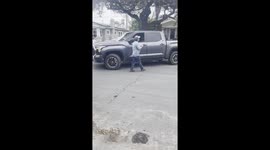 100-Year-Old Palm Tree Explodes When it Hits the Ground