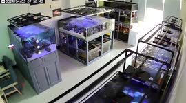 Taiwan earthquake shakes aquariums in pet shop