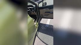 Driver panics when snake appears inside car