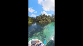 Dolphin Swims Under Portable Boat