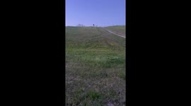 Dogs Drag Owner Downhill