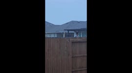Neighbor's Dog Peeks Over Fence to Look for Friends