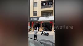 Thousands of runaway bees swarm delivery store forcing scared locals onto street