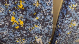 Announcer on Sydney train approaching Central station tries to be funny