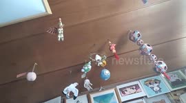 Japan: M6.0 Earthquake Strikes Off Fukushima Coast 3