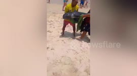 Tourists rush to help melon-headed whale stuck on Thai beach