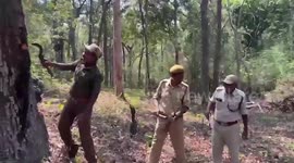 Tree spouts water leaving local police baffled in India