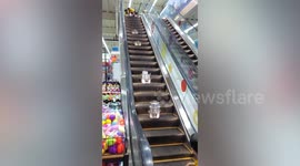 Clever workers transport heavy pans down mall through escalator